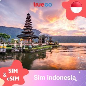 Sim & eSIM Indonesia